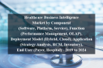 Healthcare business intelligence market by component (software, platform, service), function (performance management, olap), deployment model (hybrid, cloud), application (strategy analysis, rcm, inventory), end user (payer, hospital) - 2019 to 2024