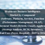 Healthcare Business Intelligence Market by Component (Software, Platform, Service), Function (Performance Management, OLAP), Deployment Model (Hybrid, Cloud), Application (Strategy Analysis, RCM, Inventory), End User (Payer, Hospital) - 2019 to 2024