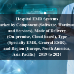 Hospital EMR Systems Market by Component (Software, Hardware, and Services), Mode of Delivery (On-premise, Cloud based), Type (Specialty EMR, General EMR), and Region (Europe, North America, Asia Pacific) - 2019 to 2024