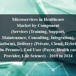 Microservices in Healthcare Market by Component (Services (Training, Support, Maintenance, Consulting, Integration), Platform), Delivery (Private, Cloud, Hybrid, On-Premise), End User (Payer, Health care Provider, Life Science) - 2019 to 2024