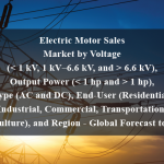 Electric Motor Sales Market by Voltage (< 1 kV, 1 kV–6.6 kV, and > 6.6 kV), Output Power (< 1 hp and > 1 hp), Type (AC and DC), End-User (Residential, Industrial, Commercial, Transportation, Agriculture), and Region - Global Forecast to 2024