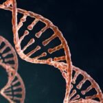 Global Epigenetics Market Report Position, Recent Developments, Trends and Future Forecast Until  2024 to 2029