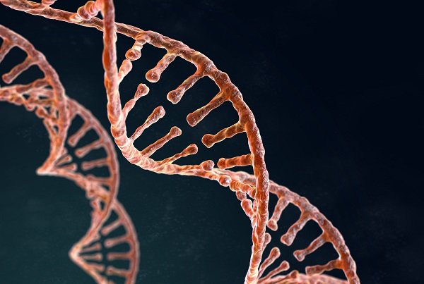 Global epigenetics market recent developments & trends