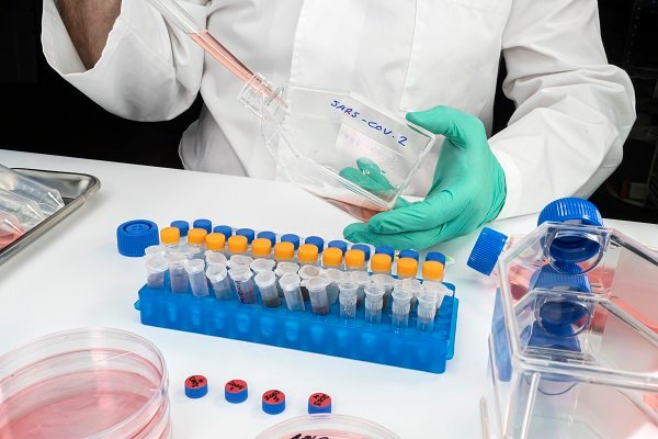 Virologist working on exogenous sars-cov-2 virus rna sequence in the laboratory