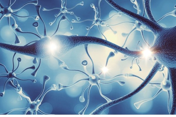 Live Cell Imaging Market Size, Share, Trends And Analysis Biology Diagrams