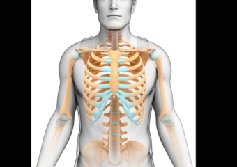 Exploring the sternal closure systems market