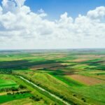 Bio-Based Foam Market