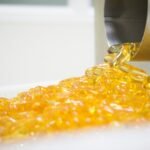 Softgel Capsules Market
