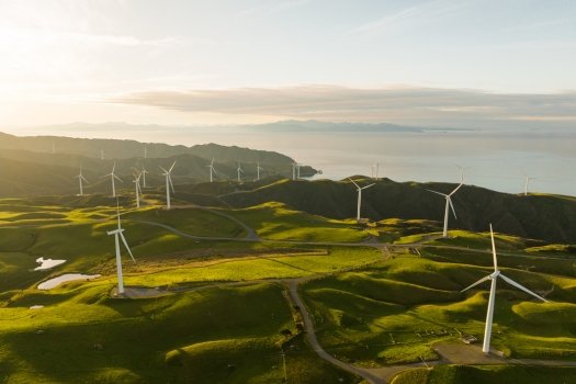 Sustainable manufacturing market